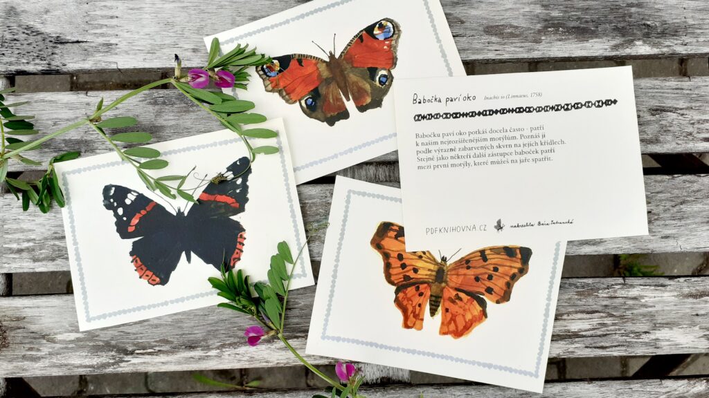 *NOVÉ* Motýli – poznávací karty
