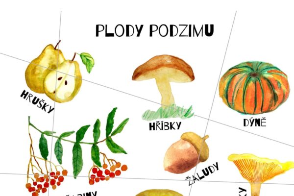 Puzzle plody podzimu