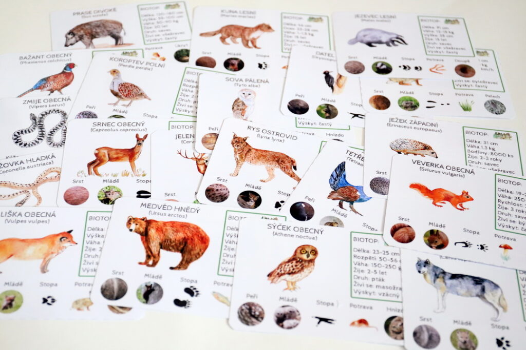 Infokarty – lesní zvířata