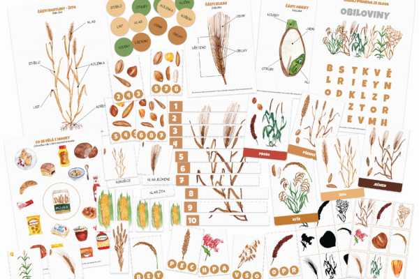 Obiloviny – sada aktivit