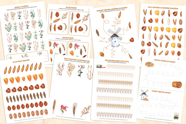 Obiloviny – pracovní listy