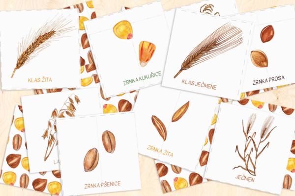 OBILOVINY – PEXESO