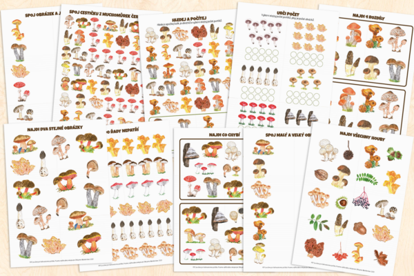 Houby – pracovní listy