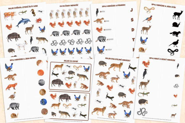 Les – pracovní listy