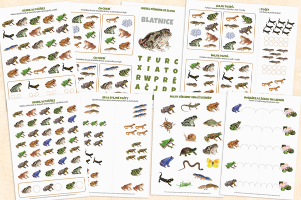 Obojživelníci – pracovní listy