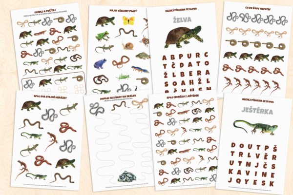 Plazi – pracovní listy