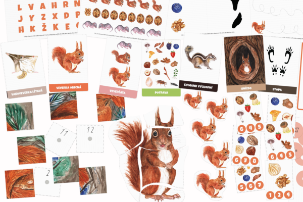 Veverka – sada aktivit