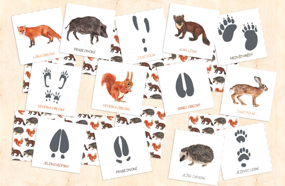 Stopy zvířat – pexeso