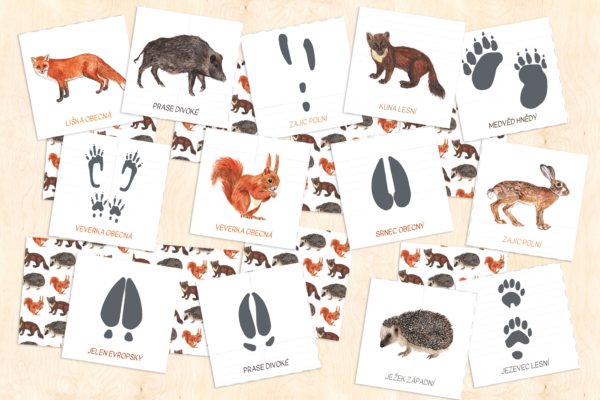 Stopy zvířat – pexeso