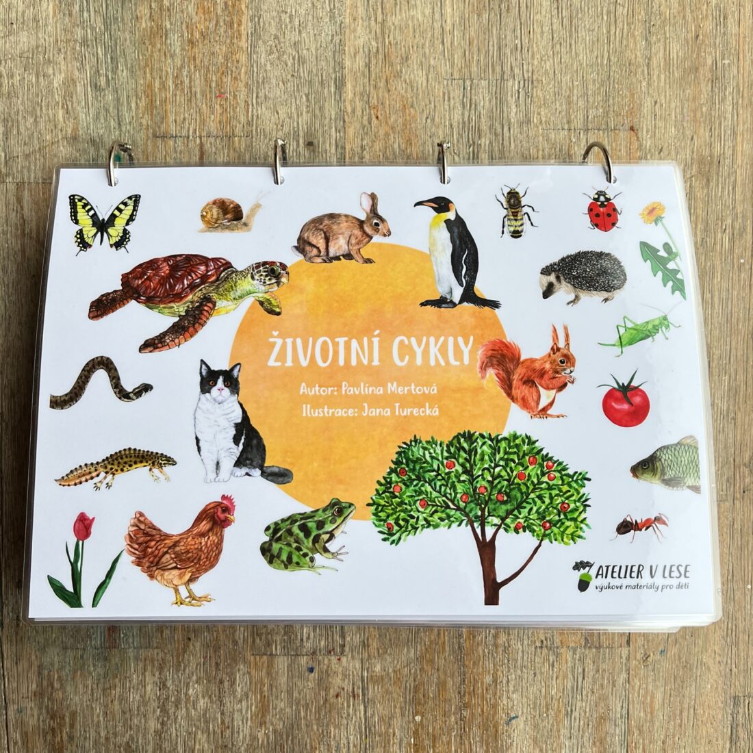 Životní cykly – kniha