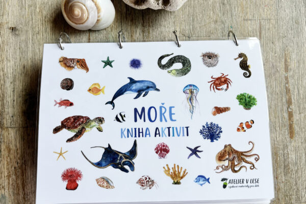 Moře – kniha aktivit