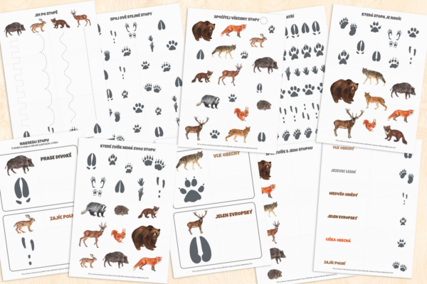 Stopy zvířat – pracovní listy