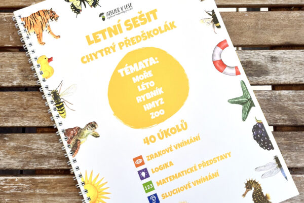 Letní sešit – Chytrý předškolák