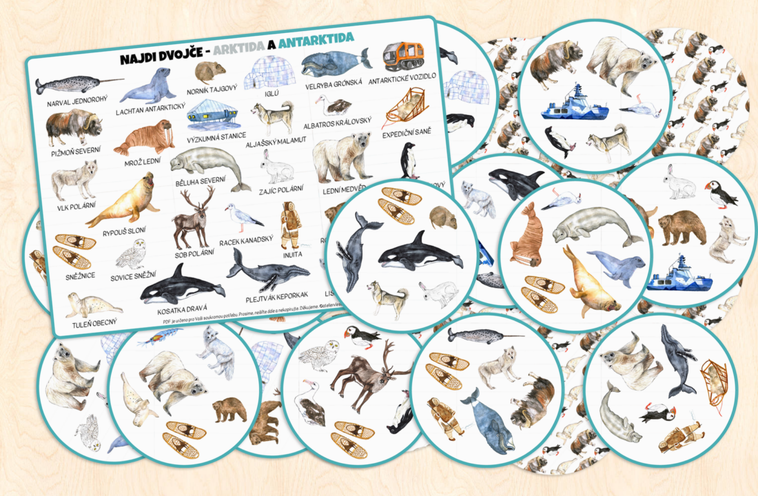 Najdi dvojče – Arktida a Antarktida