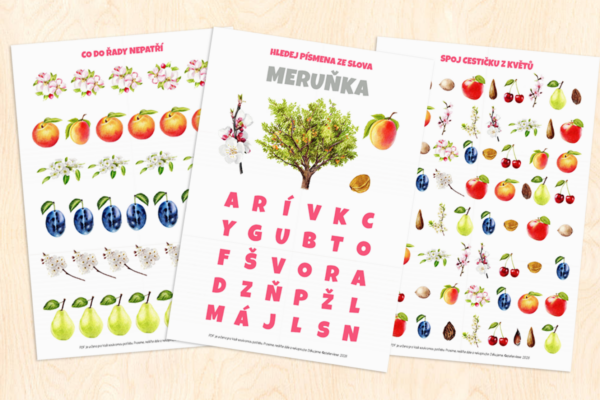 Ovocné stromy – pracovní listy