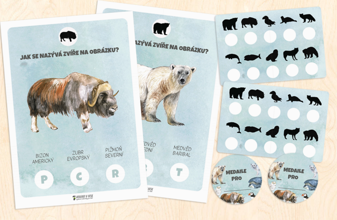 Poznávací stezka – zvířata Arktidy