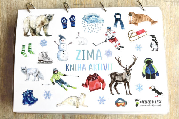 Zima – kniha aktivit